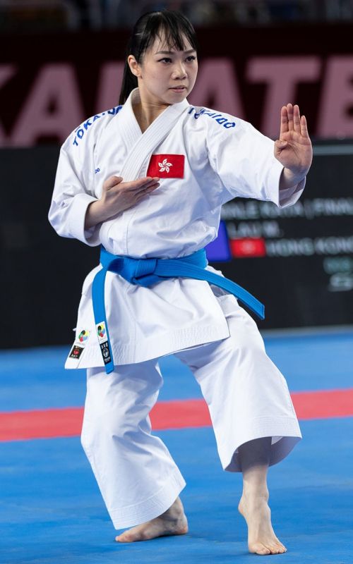 Karateanzug, TOKAIDO Kata Master SEN, made in Japan, WKF, 10 oz